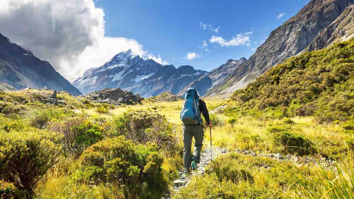 Kangra Bans Trekking Above 3000m For Safety Reasons & Unpredictable Weather; Check New Rules