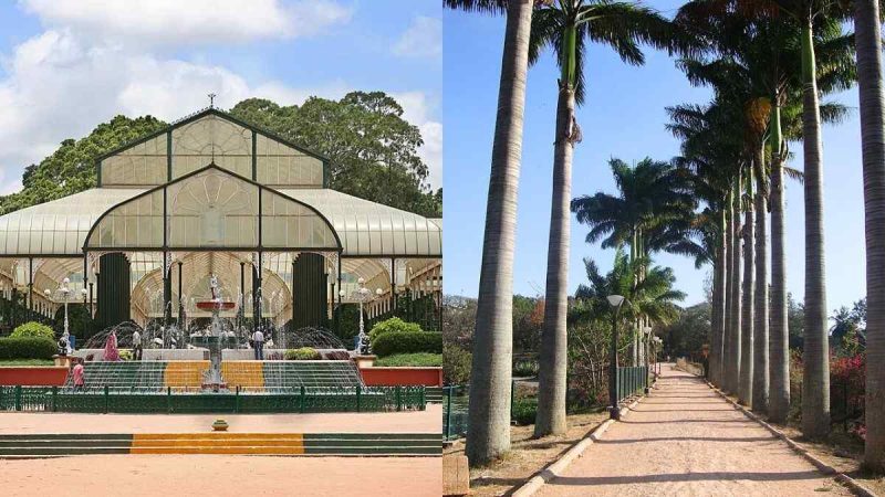 Good News! North & South Bengaluru To Get Lalbagh-Style Botanical Parks
