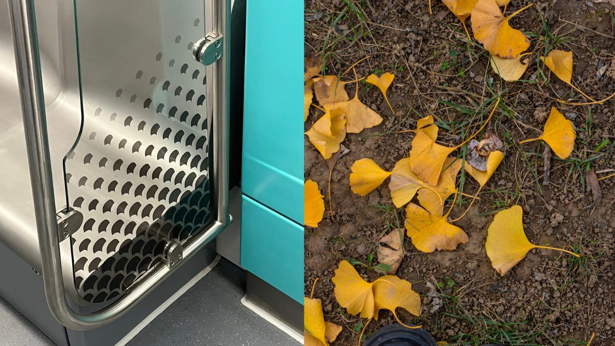 Did You Notice Gingko Leaf Motifs In Mumbai’s Aqua Line Metro Coaches?