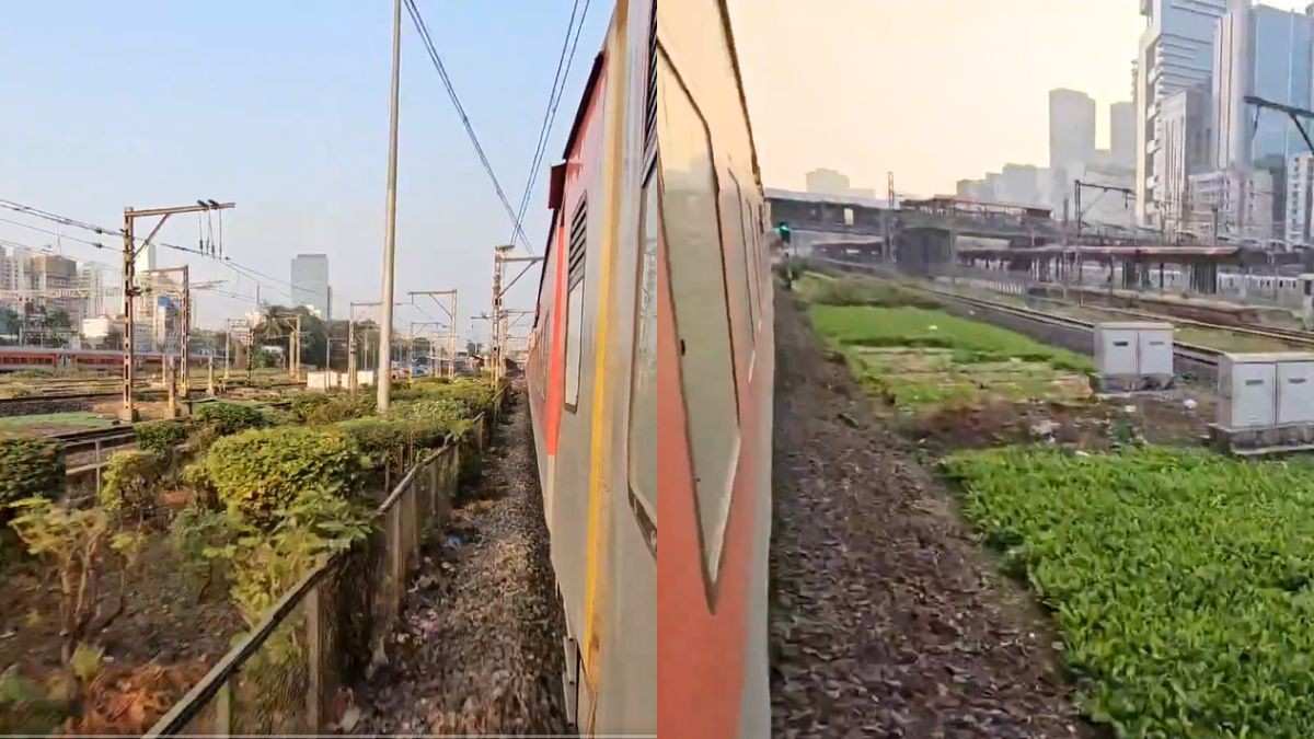 What An Idea Sirjee! Video Shows Space Between Mumbai Railway Tracks Used For Gardening & Farming