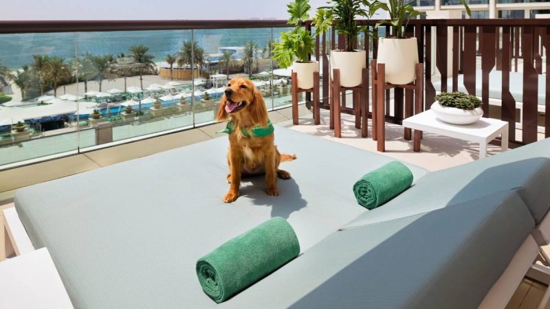 Pet Parents Get Ready For A ‘Pawfect Stay On The Palm’ At This Marriott Hotel In Dubai