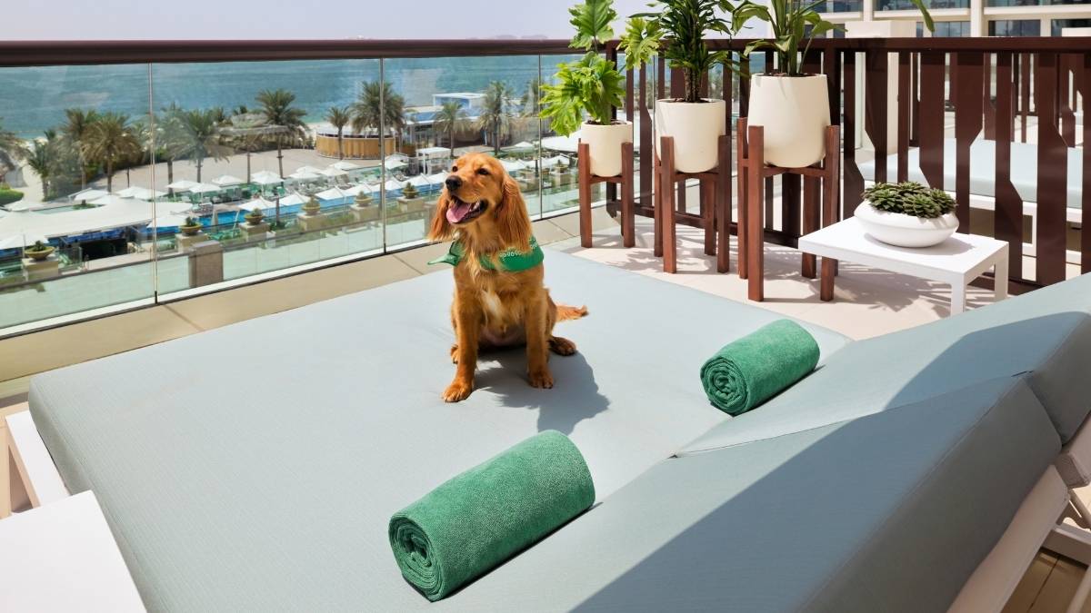 Pet Parents Get Ready For A ‘Pawfect Stay On The Palm’ At This Marriott Hotel In Dubai