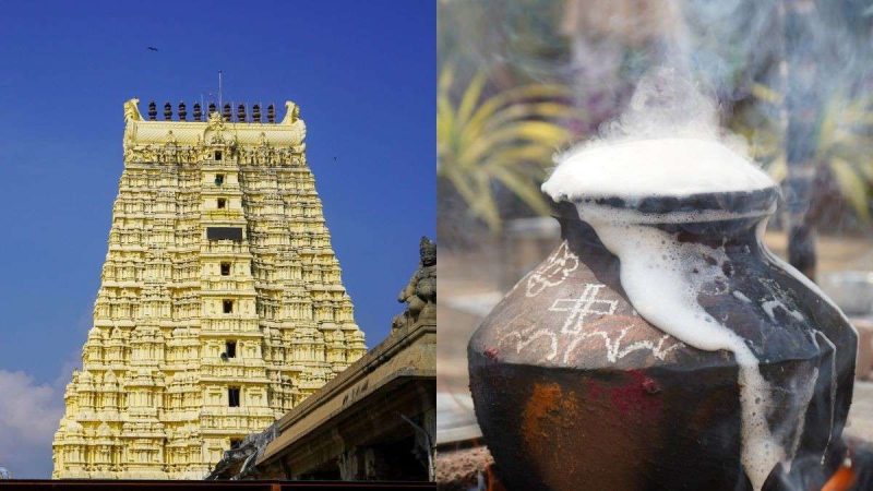 Where To Celebrate Pongal In Tamil Nadu? 10 Places That Should Be On Your List