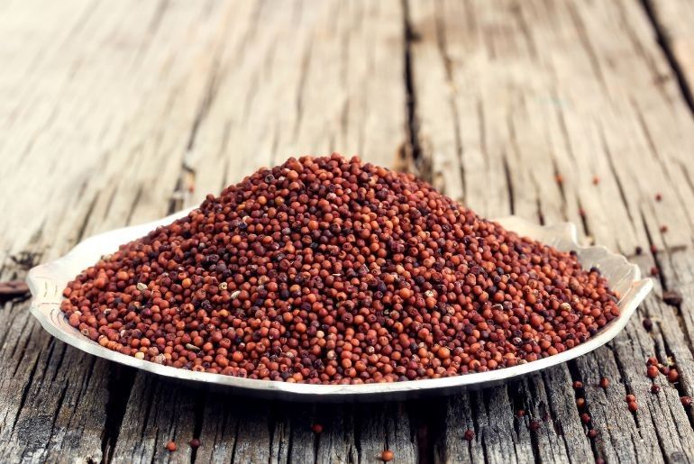 Vegetarian Protein Sources