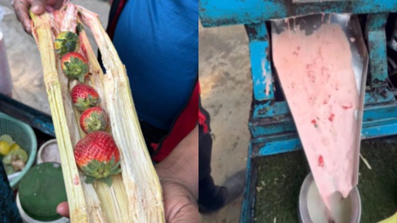 Vendor Blends Strawberry & Sugarcane To Make Fusion Juice; Netizens Impressed By Creativity