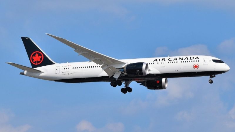 Strange Voices From Cargo Hold Forces Air Canada Flight To Return; Ground Handler Trapped