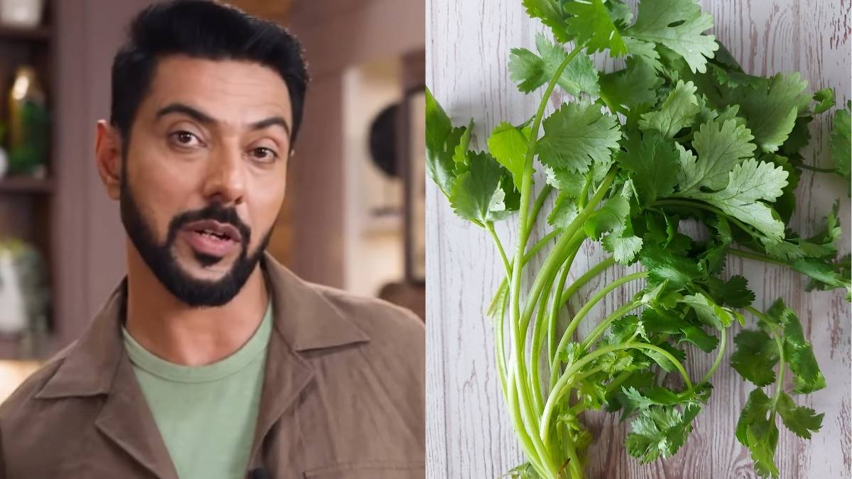 Did You Know Coriander Stems Should Never Be Wasted? Chef Ranveer Brar Reveals Why