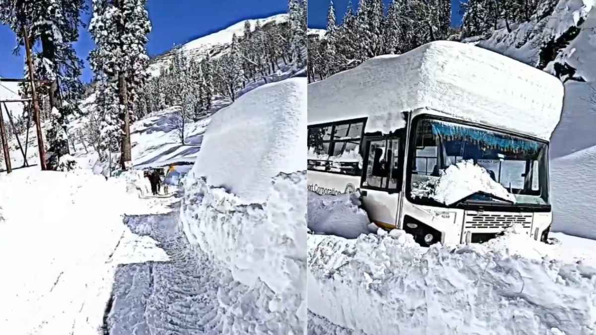 Heavy Snowfall Shuts 1,250 Roads In Himachal Pradesh; Flight Services Disrupted In Kashmir