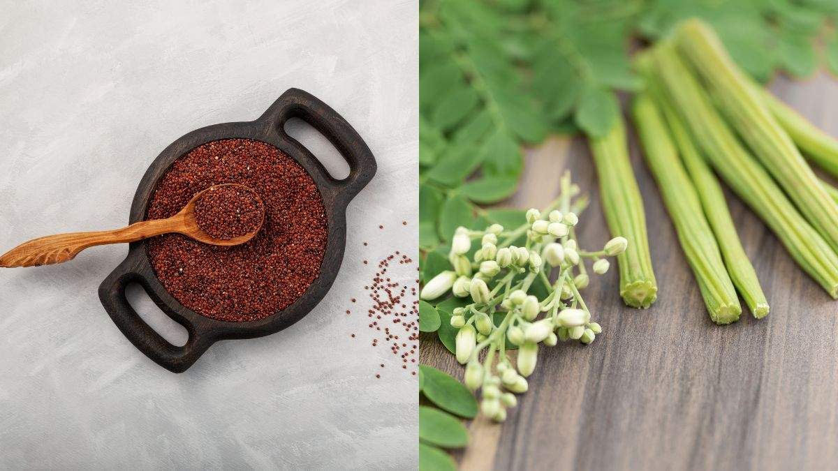 5 Vegetarian Protein Sources That Must Make It To Your Plate In 2026