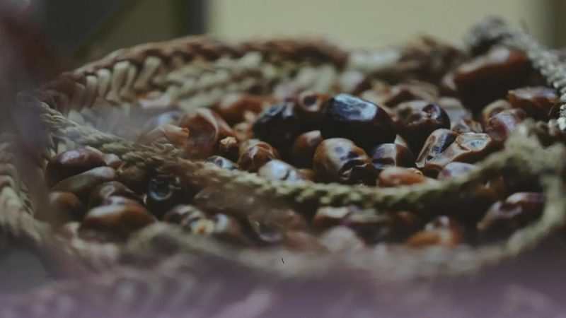 3rd Al Wathba Dates Festival Begins This Jan With 14 Competitions, Folk Shows & More