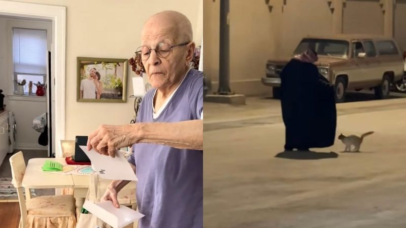 5 Good News From The Middle East & Around The World To Warm The Cockles Of Your Heart