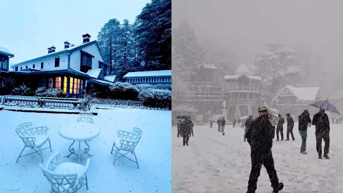 In Pics: India Sees Fresh Snowfall! J&K, Himachal Pradesh Turn Into Winter Wonderland