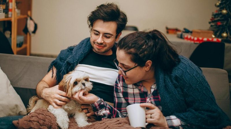 Abu Dhabi Makes Pet Registration Mandatory From February 2026, Fines Start At AED1,000