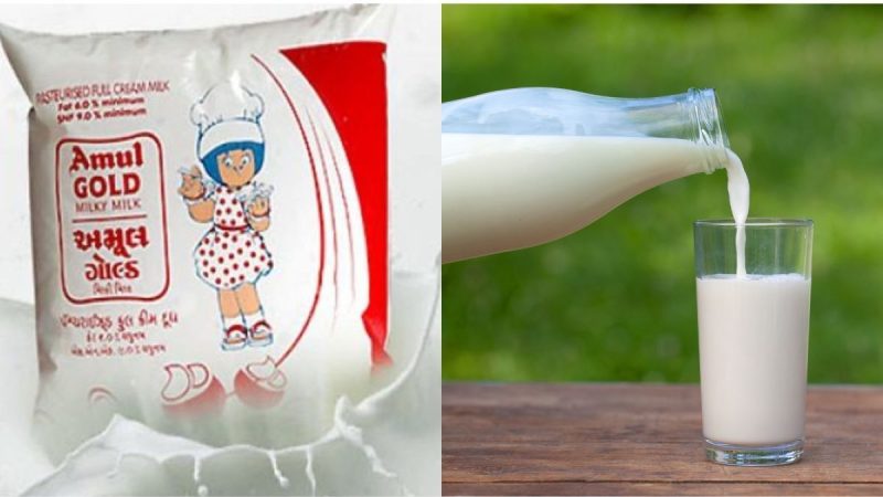 Amul & Country Delight Milk Under Scanner For Coliform; Why Is This Bacteria Harmful?