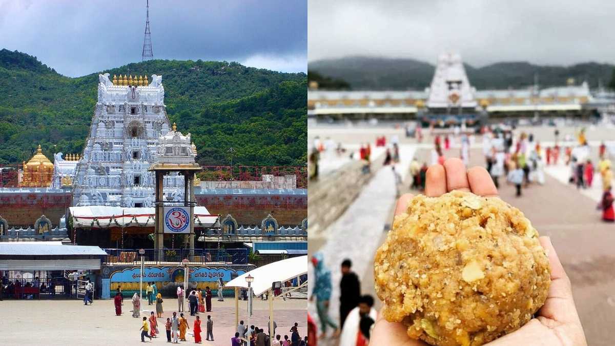 With E-Tongue & E-Nose Tech, Tirupati Temple To Get ₹25 Cr Food Lab For Laddu Quality Checks