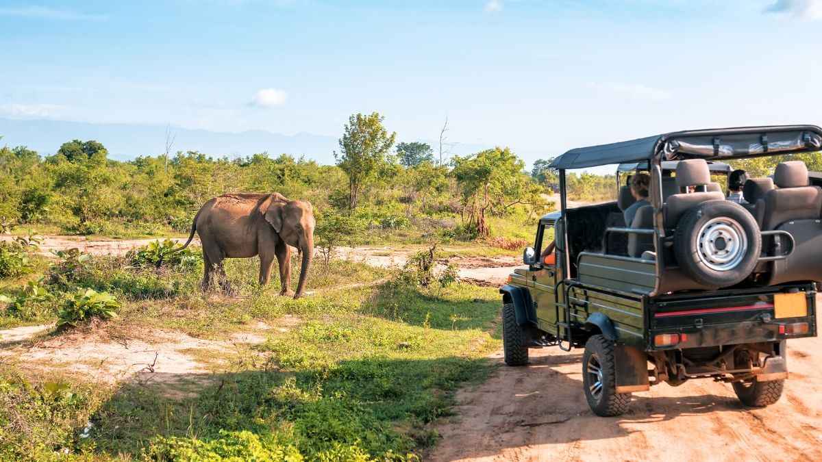 Why Did Supreme Court Stop Haryana’s Aravalli Zoo Safari Plan?