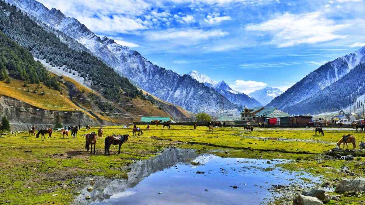 Which 14 Famous Tourist Spots Have Reopened In Jammu & Kashmir After Pahalgam Attack?