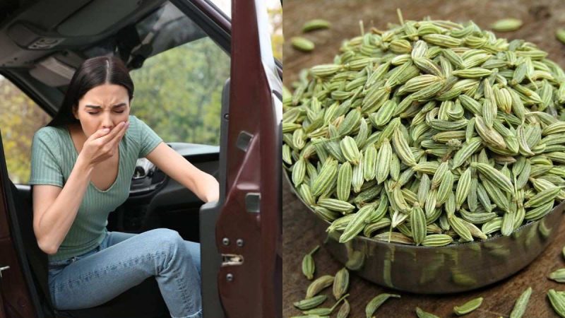 Say Goodbye To Motion Sickness With These 5 Foods That Can Help You On Road Trips