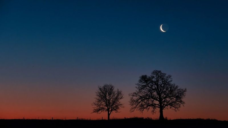 UAE & Saudi Arabia Invites Public To Take Part In Ramadan Crescent Sighting On This Date