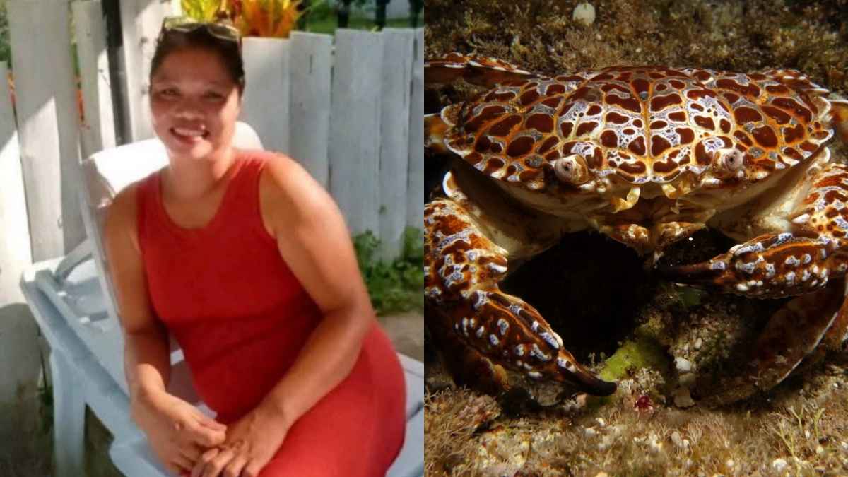 51-Year-Old Filipino Food Vlogger Dies After Eating THIS Toxic Crab In Palawan Mangrove