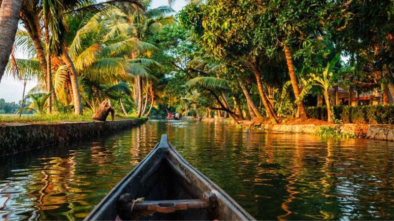 Tourism In Kerala Hits New High With 2.58 Crore Visitors; Find Out Why It’s A Must-Visit