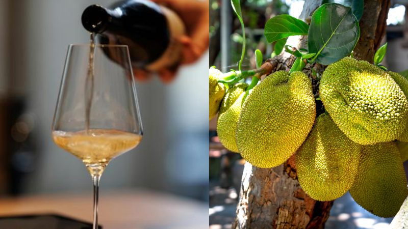 Did You Know Kerala Created A Wine Out Of Its Most Loved Jackfruit?