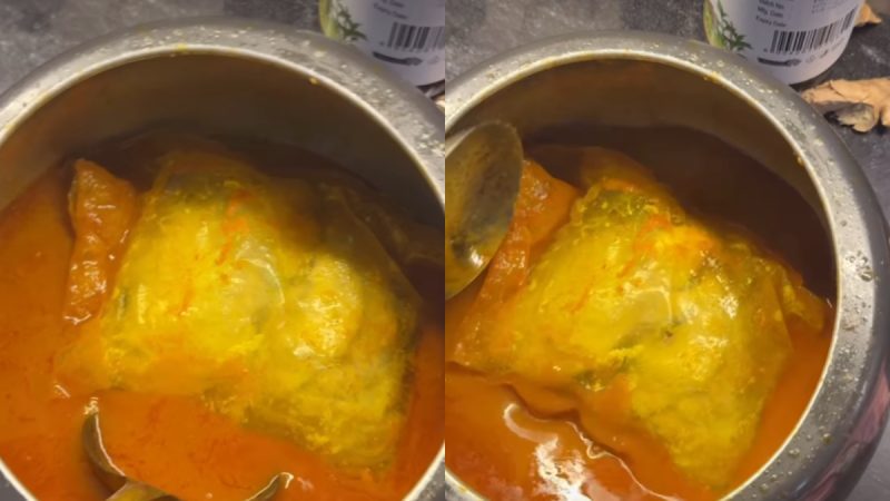“Notice Period Chal Raha Kya Didi Ka?” Internet Questions As Maid Cooks Frozen Chicken With Packet