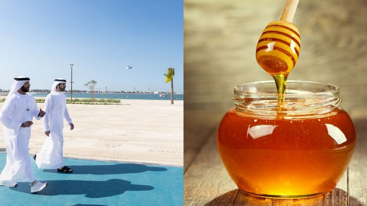 Jumeirah Beach 1 Opening To Saudi Arabia’s Rarest Honey Displayed; 5 GCC Updates For You