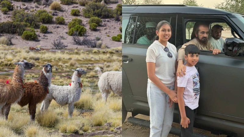 5 Incredible Stories From The Middle East And The World To Make You Smile!