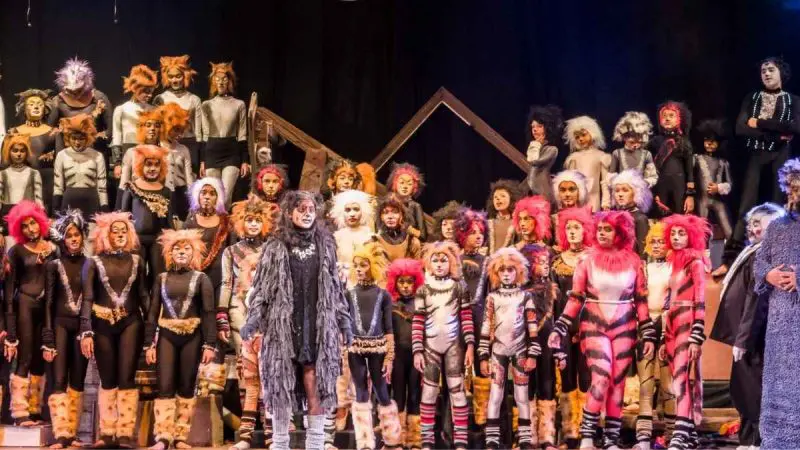 For The First Time In India, The Iconic Musical CATS Is Coming To NMACC; Catch It Live On THESE Dates!