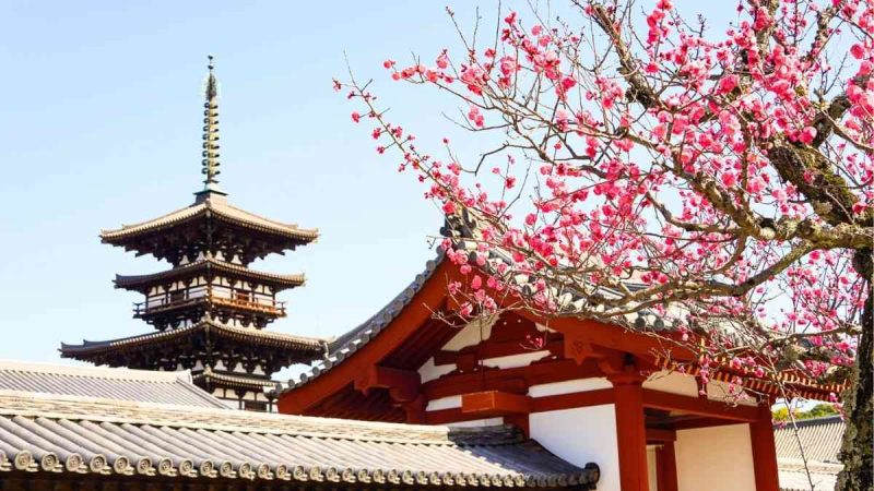Cherry Blossoms Arrive 5 Days Early In Japan; Here’s Why You Should Visit During Sakura Season