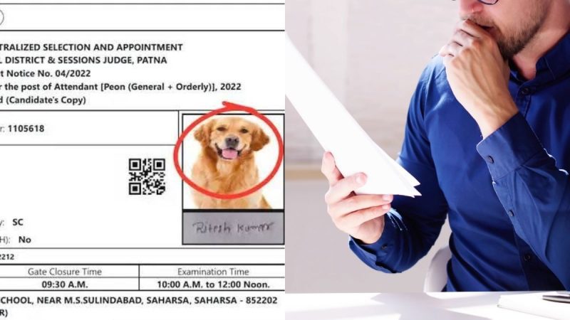 Bihar Man Finds Dog’s Pic On Admit Card 3 Days Before Exam; Netizens, “Most Qualified Candidate?”