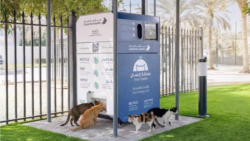 What Is Ehsan Station By The Dubai Municipality For Feeding Stray Animals?