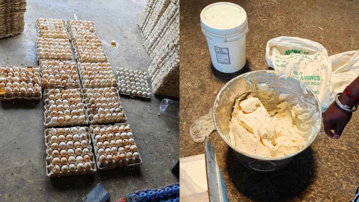 Hyderabad Bakery Busted For Using Rotten Eggs & Chemicals In Cakes & Donuts; 3 Arrested