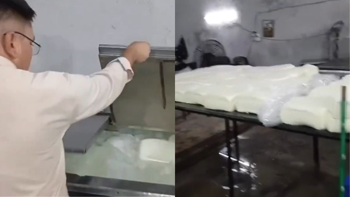 FSSAI Raids 1,401 Kg Of Adulterated Paneer From Godown In Surat; Tips To Identify Fake Paneer