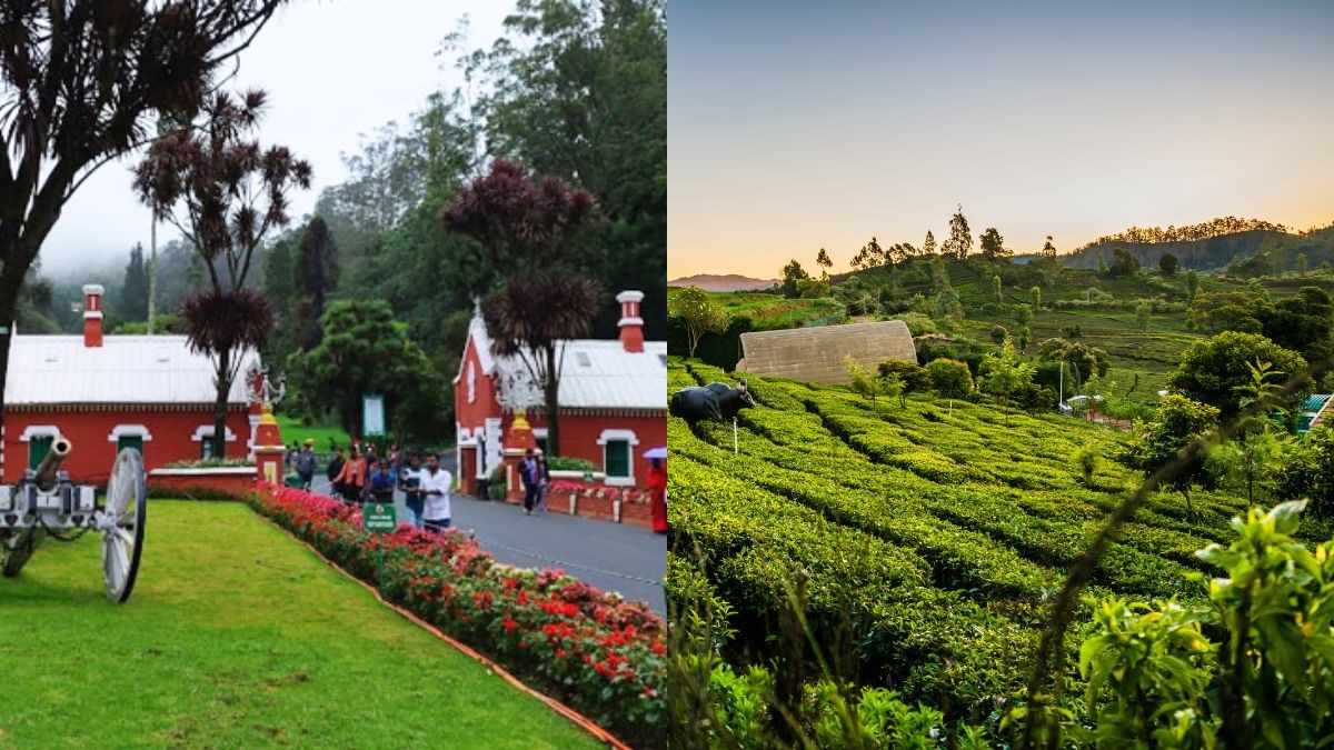 Ooty In ₹1000! TTDC Launches One-Day Tour Covering Botanical Gardens, Chocolate Factory & More