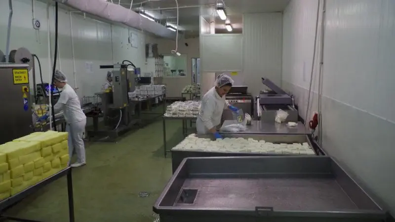 What Are EAGLE And HYDRAA, Telangana’s New Food Safety Bodies?