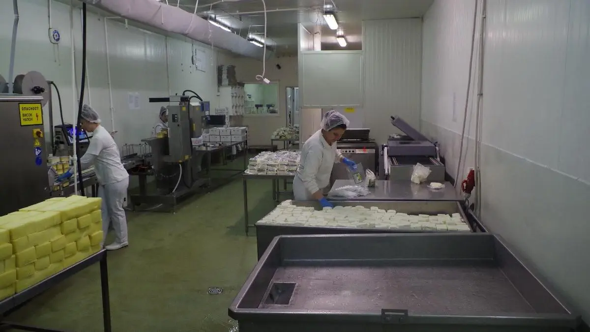 What Are EAGLE And HYDRAA, Telangana’s New Food Safety Bodies?