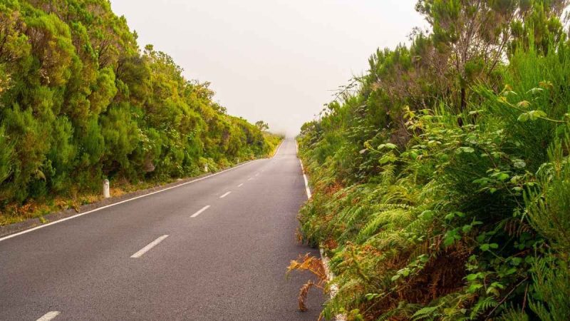Odisha To Get 111-Km Ring Road From Rameshwar To Tangi, Cutting Travel Time For Lord Jagannath Devotees