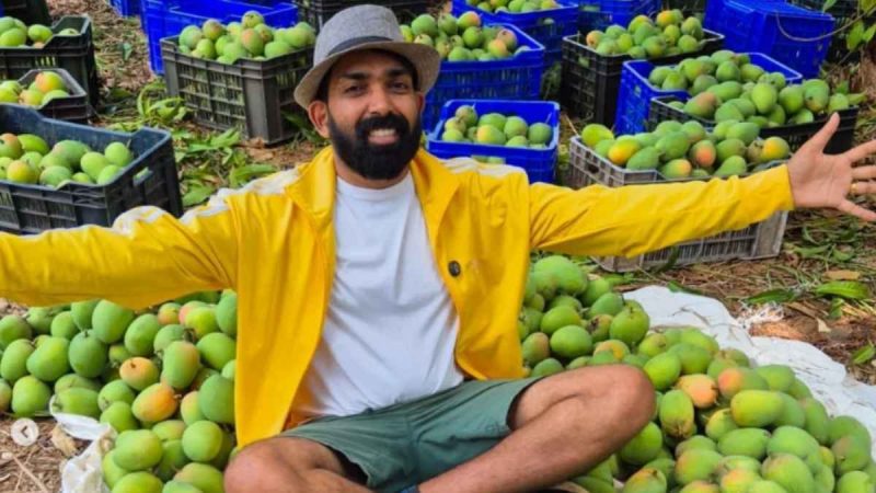 Tired Of Artificially Ripened Mangoes? This Startup Lets You Lease A Mango Tree!