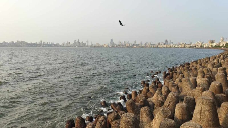 Mumbai Records This Year’s Hottest Day; Temperature Hits 38.7°C; About 5.7°C Above Normal
