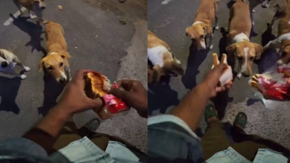 Zepto Order With A Twist: Customer Asks Delivery Rider To Feed Stray Dogs Bread And Milk