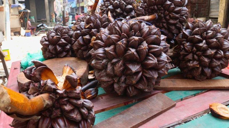 This Vietnamese Fruit Looks Like A Coconut But Contains Jelly-Like Edible Seeds Instead Of Water