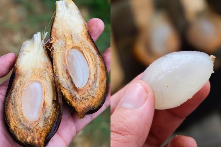 Vietnamese Water Coconut image