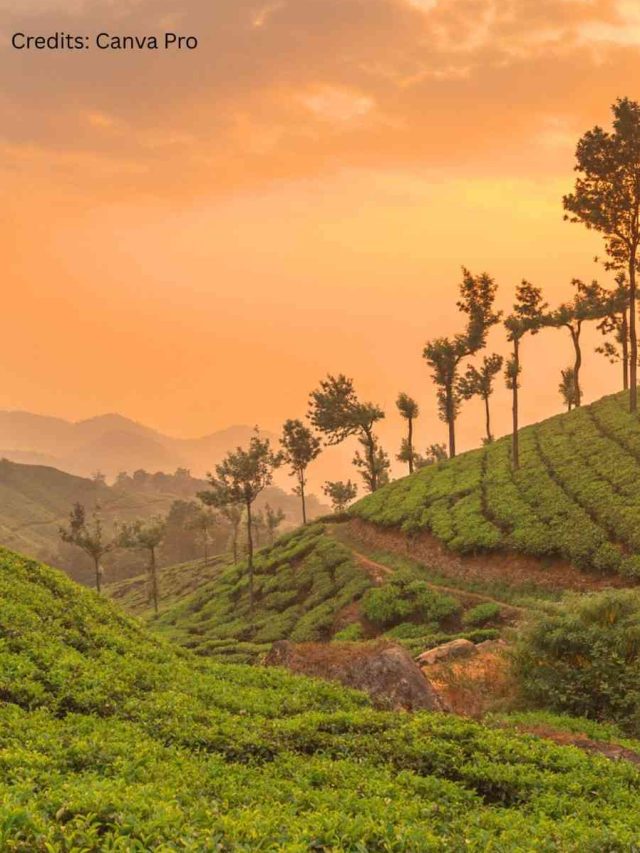 7 Places In India To Visit In March For A Memorable Holiday