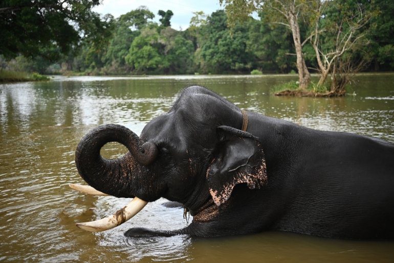 good friday weekend getaways