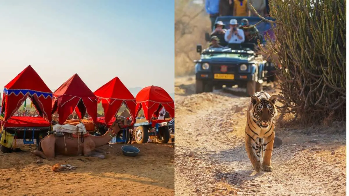 From Pushkar To Ranthambore: 7 Best One-Day Road Trips You Can Take From Jaipur