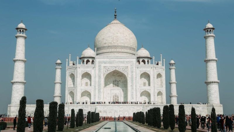 Panic At Taj Mahal As Swarm Of Bees Attack Visitors; Tourists Seen Fleeing The Monument