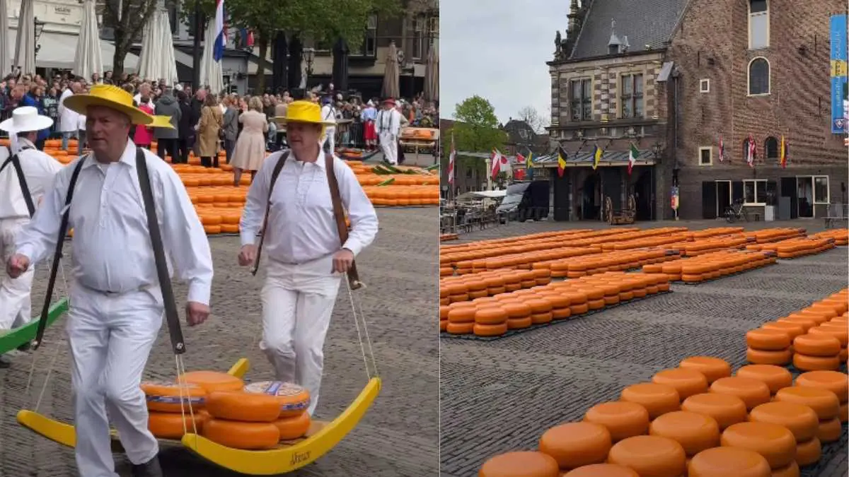 Did You Know The Oldest Cheese Market Is In Netherlands & Still Sells Cheese Like It Did In 1365?