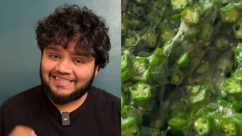 What Makes Bhindi Sticky & How Has This Helped It Survive 1000 Years Of Evolution?